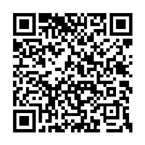 这恐怖的巨人的身份杨戬显然也一下子猜了出来二维码生成