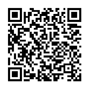 这恶徒的相貌的确与我那不成器义子有仈Jiǔ分相似二维码生成