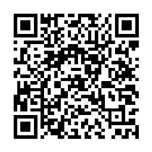 这情况应该是我在出租车上小眯一会儿时候中招了二维码生成