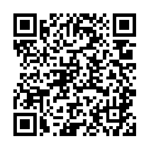 这情形就如同一个优秀的猎人在山中被一群恶狼围攻一样二维码生成