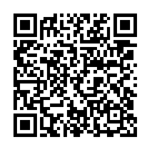 这惹得本来就满肚子火气的程老爹更是大发雷霆二维码生成