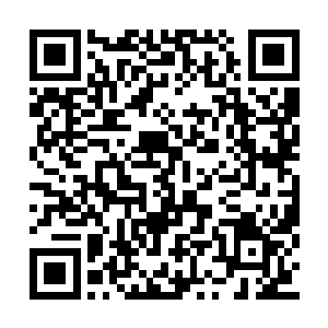 这意味着对白河谷地对马文抱有恶意的大有人在二维码生成