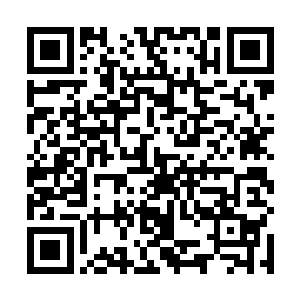 这意味着很可能这片地方拥有什么东西保护着这片土地二维码生成