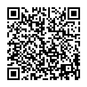 这意味着每天都要战胜那些前来挑战她地位的人……就像昨天梓箐看到的那样二维码生成