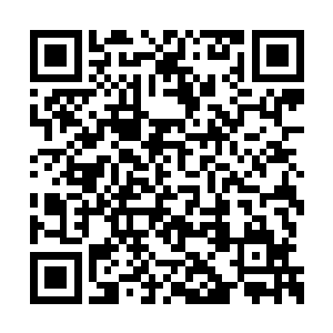 这意味着自己从王卧云那里赢了五百亿极品灵石二维码生成