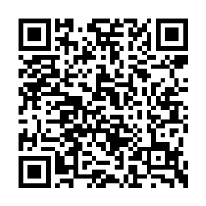 这意味着自己的各种能力将会提升至少百分之九二维码生成