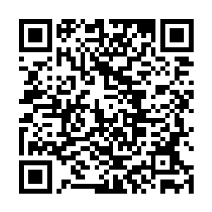 这意味着鬼灭天能够将低级不朽血脉的威力全部挥出来二维码生成