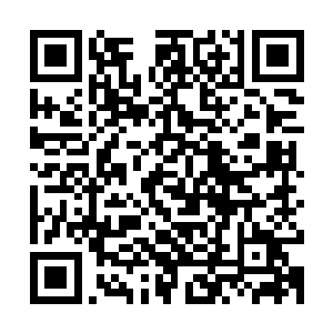 这意思就是让红虎和吞鹏两人将这两个山门站着的人全都打倒啊二维码生成