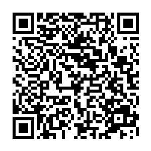 这感觉就像月光宝盒的孙悟空面对说着不要砸到花花草草小朋友的堂上一样二维码生成