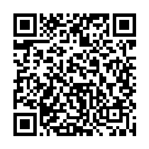 这或许是因为地底更加残酷的优胜劣汰的法则的缘故二维码生成
