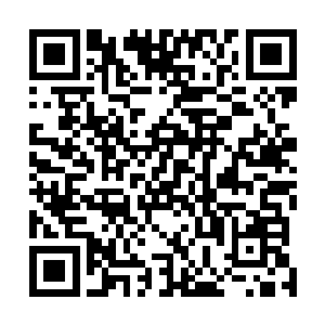 这或许是她唯一能报答给自己生命中最重要最深爱的男人二维码生成