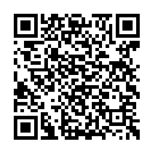 这战斗力榜单已经计算了他逆斩两大灵士的战绩二维码生成