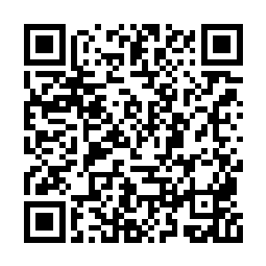 这手掌犹如是五指山一般充满了不可抵挡的威压二维码生成