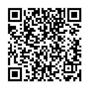 这才下意识的吼出来的……可现在让他说说秦方到底有什么破绽二维码生成