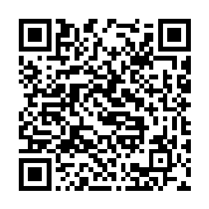 这才仅仅吸收了一点能量就达到了如此恐怖的程度二维码生成