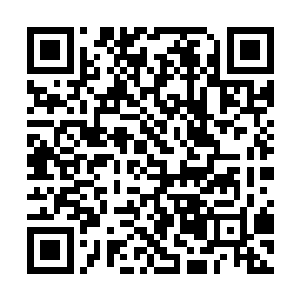 这才会才让杀手17一加入战队便坐了两个月的冷板凳二维码生成