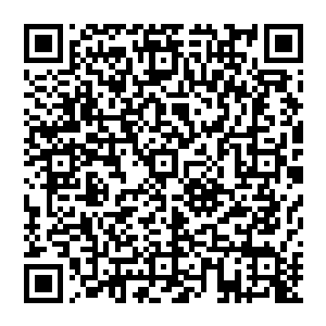 这才会比青龙木更加珍贵一些的……但是同宗同源就足以让它们在某些时候可以相互替换使用的二维码生成