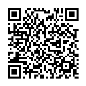 这才刚到了甲板上就看到弗兰克一帮人伸着脑袋望着海里二维码生成