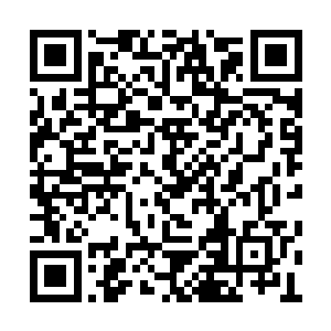 这才压制了邪王守护大部分的力量……否则的话二维码生成