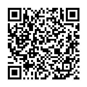 这才发现原本一直端坐在骸骨宝座上的王主已经不见了踪影二维码生成