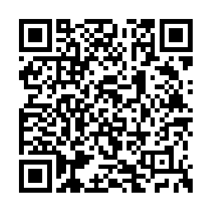 这才发现商蕊看着自己的目光似有些复杂和古怪二维码生成