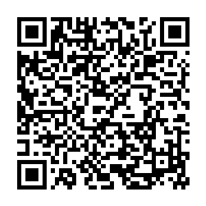 这才发现这海格力斯跟ig亚特兰蒂斯队长波迪亚还真有那么几分像二维码生成