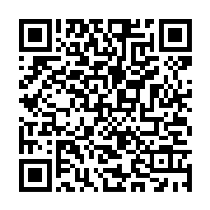 这才只是一个占地不过几十亩的小天地的排斥之力二维码生成