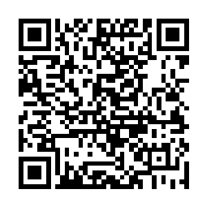 这才可以神不知鬼不觉的潜伏到这点心铺的后院里面二维码生成