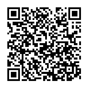 这才堪堪停下来的……但是那棵大树整个树干都是嗡嗡嗡的震颤着二维码生成