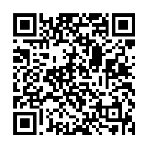 这才将刚刚从永和宫得到的消息一五一十地说了出来二维码生成