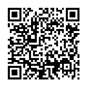 这才将风之翼收了起来寻了一块地方又调息了一下二维码生成