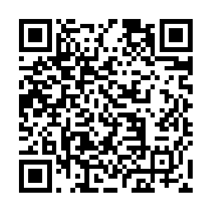 这才愕然看到宋子宁和少男少女们横七竖八地倒了一地二维码生成