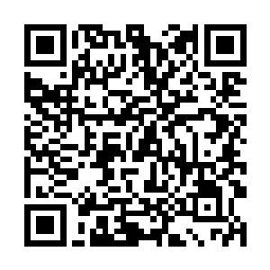 这才慢慢的将后方追赶过来的风属姓天空圣师给甩开二维码生成