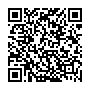 这才断断续续将与梓箐离别后所发生的事情一一道来二维码生成