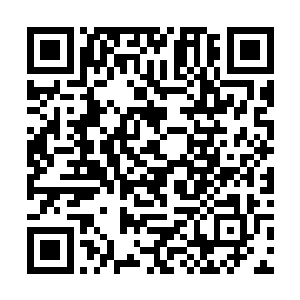 这才明白为何传送过来的除了麻烦大师一个八品之外二维码生成