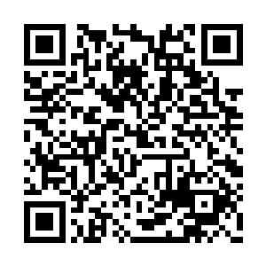 这才明白杨开口中的那个人指的应该就是那乌邝二维码生成