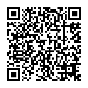 这才明白这一个晚上为什么只听到灵兽的声音而没有看到一只灵兽靠近他们二维码生成