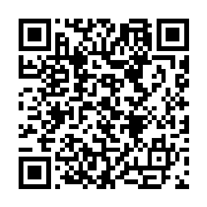 这才是一位神游境九层武者全力爆发应该具备的能力二维码生成