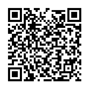 这才是一名选手最强大之处-----以我的推测二维码生成