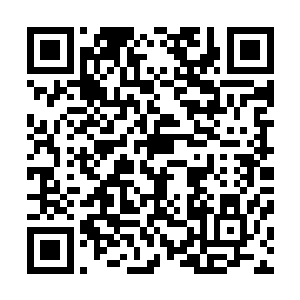 这才是一款成功的操作系统能够在市场生存下来的根基所在二维码生成