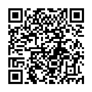 这才是云水国此次敢于举倾国之力攻打风都皇朝的底牌二维码生成