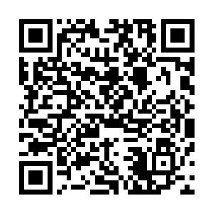 这才是我们忍者不断的销声匿迹曾经的四大家族也隐藏起来二维码生成