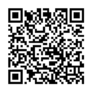 这才是草原上为何那么多修士都会来这里修炼的原因二维码生成
