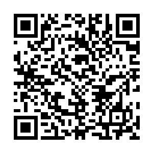 这才是让雨果成为两千万美元片酬呼声第一人的根本原因二维码生成