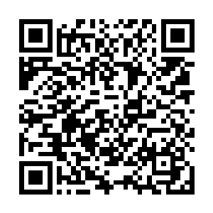 这才构成了今年奥斯卡上除了最佳影片之外的最强对决二维码生成