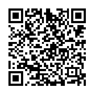 这才真切的感受到这种痛苦是何其的迫切和绝望二维码生成