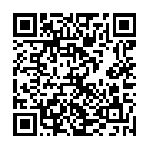 这才知道杜海琼为什么中的是一百多万而不是七八十万二维码生成