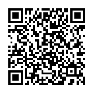 这才知道自己所在的这个世界真的是传说中的蜃龙界二维码生成