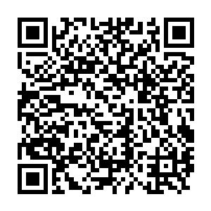 这才符合蓝岛要引领渤黄海经济圈乃至东北亚区域经济发展的定位二维码生成