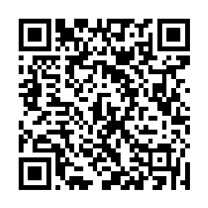 这才第一时间联系了并未抵达现场的尼古拉斯一麦克伦二维码生成